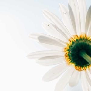 DataSoft Systems [DEMO]