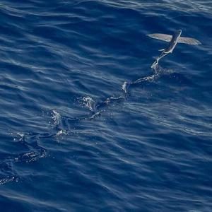 TechGiant Corp [DEMO]