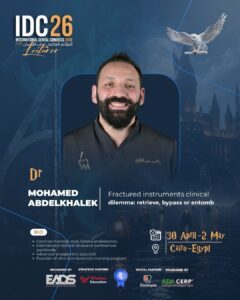 Mohamed Abdelkhalek