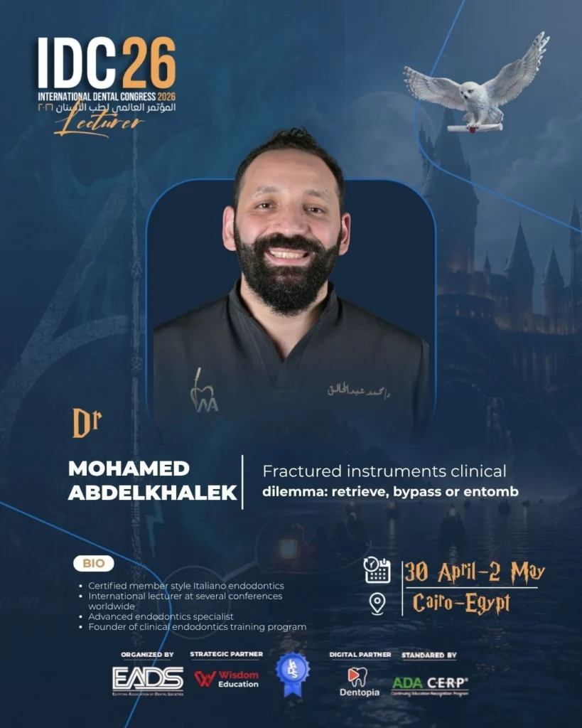 Mohamed Abdelkhalek