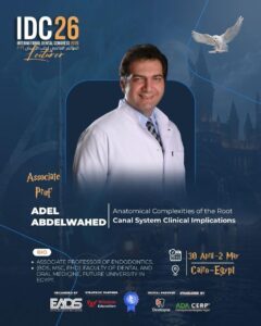 Associate Prof. Adel AbdelWahed