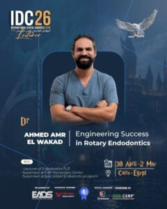 Ahmed Amr El Wakad